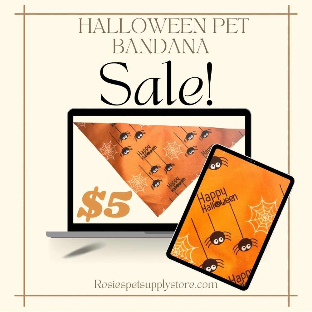 Halloween Pet Bandana